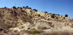 Grupo Mineralógico de Alicante. Cantera de los Morteros. Aspe. Alicante