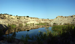 Grupo Mineralógico de Alicante. Cantera de los Morteros. Aspe. Alicante