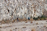 Grupo Mineralógico de Alicante. Explotación de Áridos. Siera de Segaria Ondara.  Alicante