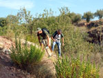 Grupo Mineralógico de Alicante.Zona  del Trias. Chella. Valencia