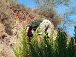 Grupo Mineralógico de Alicante.Zona  del Trias. Chella. Valencia