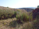 Grupo Mineralógico de Alicante.Zona  del Trias. Chella. Valencia