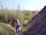 Grupo Mineralógico de Alicante.Zona  del Trias. Chella. Valencia