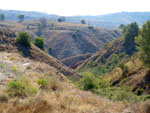 Grupo Mineralógico de Alicante.Zona  del Trias. Chella. Valencia