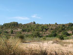 Grupo Mineralógico de Alicante.Zona  del Trias. Chella. Valencia