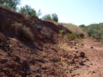 Grupo Mineralógico de Alicante.Zona  del Trias. Chella. Valencia