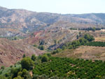 Grupo Mineralógico de Alicante.Zona  del Trias. Chella. Valencia