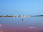 Grupo Mineralógico de Alicante.Salinas de Torrevieja