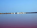 Grupo Mineralógico de Alicante.Salinas de Torrevieja