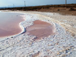 Grupo Mineralógico de Alicante.Salinas de Torrevieja