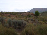 Grupo Mineralógico de Alicante.Minas del Carmen. La celia. Jumilla. Murcia.