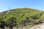 Grupo Mineralógico de Alicante.Las Minicas. Zarzadilla de Totana. Murcia.