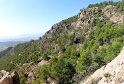 Grupo Mineralógico de Alicante.Las Minicas. Zarzadilla de Totana. Murcia.