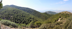 Grupo Mineralógico de Alicante.Las Minicas. Zarzadilla de Totana. Murcia.