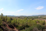 Grupo Mineralógico de Alicante.Mina San Antonio. Cehegín.  Murcia.