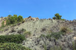 Grupo Mineralógico de Alicante.Mina San Antonio. Cehegín.  Murcia.