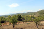 Grupo Mineralógico de Alicante.Mina San Antonio. Cehegín.  Murcia.