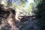 Grupo Mineralógico de Alicante.Mina San Antonio. Cehegín.  Murcia.