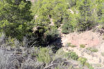 Grupo Mineralógico de Alicante.Mina San Antonio. Cehegín.  Murcia.