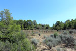 Grupo Mineralógico de Alicante.Mina San Antonio. Cehegín.  Murcia.