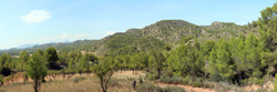 Grupo Mineralógico de Alicante.Mina San Antonio. Cehegín.  Murcia.