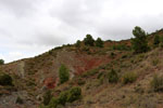 Grupo Mineralógico de Alicante.Los Yesares. Camporrobles. Valencia