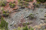 Grupo Mineralógico de Alicante.Los Yesares. Camporrobles. Valencia