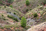 Grupo Mineralógico de Alicante.Los Yesares. Camporrobles. Valencia