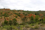 Grupo Mineralógico de Alicante.Los Yesares. Camporrobles. Valencia