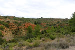 Grupo Mineralógico de Alicante.Los Yesares. Camporrobles. Valencia