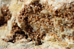 Grupo Mineralógico de Alicante.Cantera de áridos El Cabra. San Vicente del Raspeig. Alicante