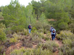 Grupo Mineralógico de Alicante. Los Molinillos. Minglanilla.  Cuenca