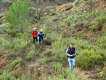 Grupo Mineralógico de Alicante. Los Molinillos. Minglanilla.  Cuenca