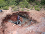 Grupo Mineralógico de Alicante. Los Molinillos. Minglanilla.  Cuenca