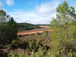 Grupo Mineralógico de Alicante. Los Molinillos. Minglanilla.  Cuenca