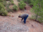 Grupo Mineralógico de Alicante. Los Molinillos. Minglanilla.  Cuenca