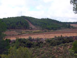 Grupo Mineralógico de Alicante. Los Molinillos. Minglanilla.  Cuenca