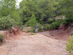 Grupo Mineralógico de Alicante. Los Molinillos. Minglanilla.  Cuenca