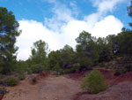 Grupo Mineralógico de Alicante. Los Molinillos. Minglanilla.  Cuenca