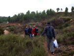 Grupo Mineralógico de Alicante. Los Molinillos. Minglanilla.  Cuenca