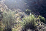 Grupo Mineralógico de Alicante.Mina de Sal. La Pesquera. Cuenca