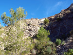 Grupo Mineralógico de Alicante. Explotación de Porfidos. Sierra de Oltra. Calpe. Alicante  