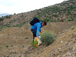 Grupo Mineralógico de Alicante. Cabezo Negro. Zeneta. Alicante  