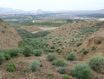 Grupo Mineralógico de Alicante. Cabezo Negro. Zeneta. Alicante  