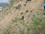 Grupo Mineralógico de Alicante. Cabezo Negro. Zeneta. Alicante  