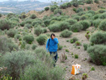 Grupo Mineralógico de Alicante.Cabezo Negro. Zeneta. Alicante  