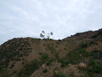 Grupo Mineralógico de Alicante. Cabezo Negro. Zeneta. Alicante  