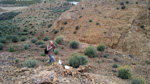 Grupo Mineralógico de Alicante. Cabezo Negro. Zeneta. Alicante  