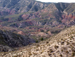 Grupo Mineralógico de Alicante. Cantera de Ofitas de los Serranos y sierra de Albatera  Alicante  