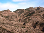 Grupo Mineralógico de Alicante. Cantera de Ofitas de los Serranos y sierra de Albatera  Alicante  